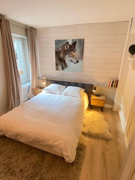 Appartement Mocca Au Coeur De Chamonix Mont-Blanc Εξωτερικό φωτογραφία